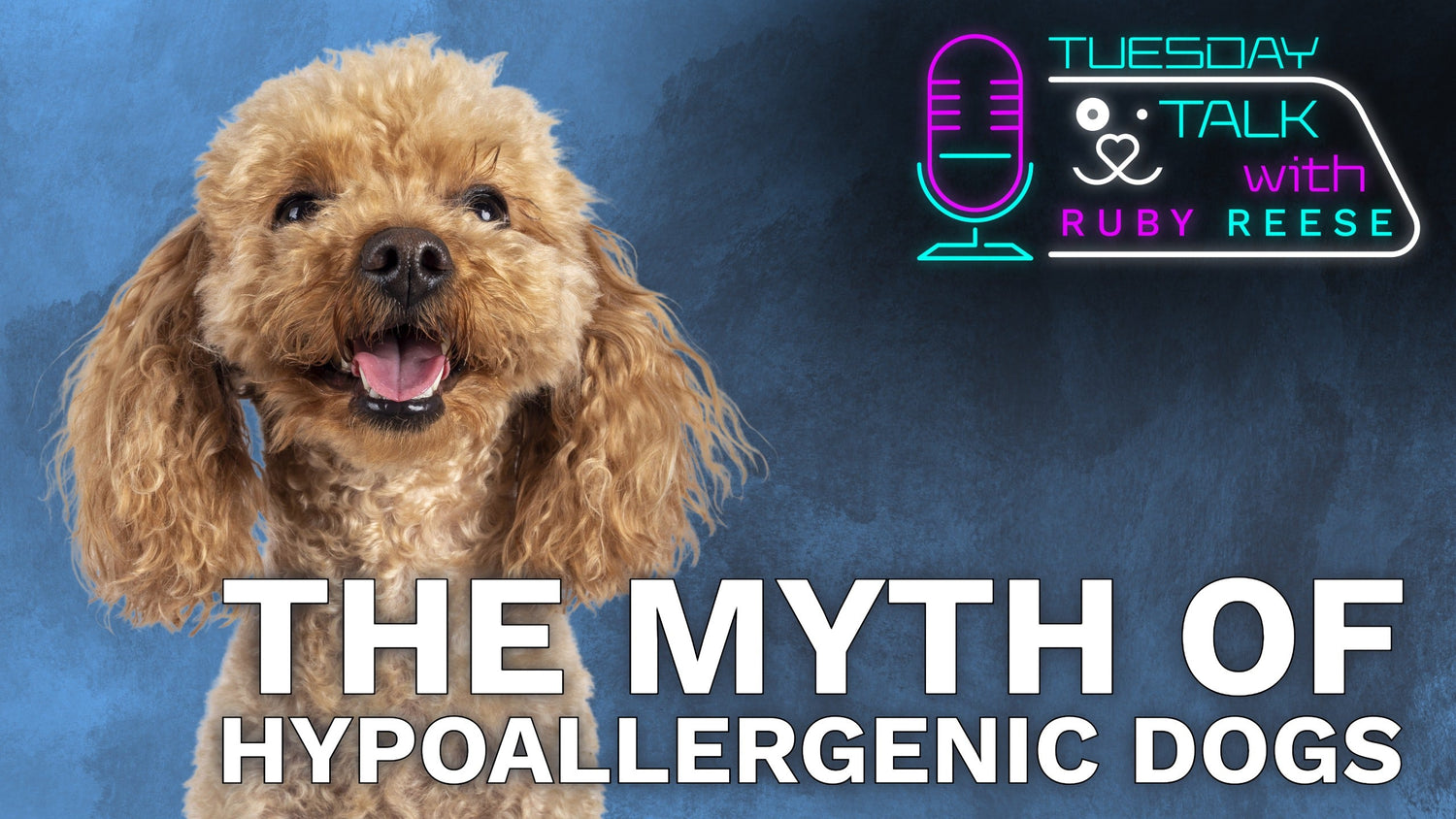 The Myth of Hypoallergenic Dogs