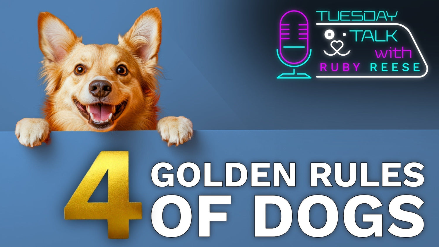 The 4 Golden Rules of Dogs
