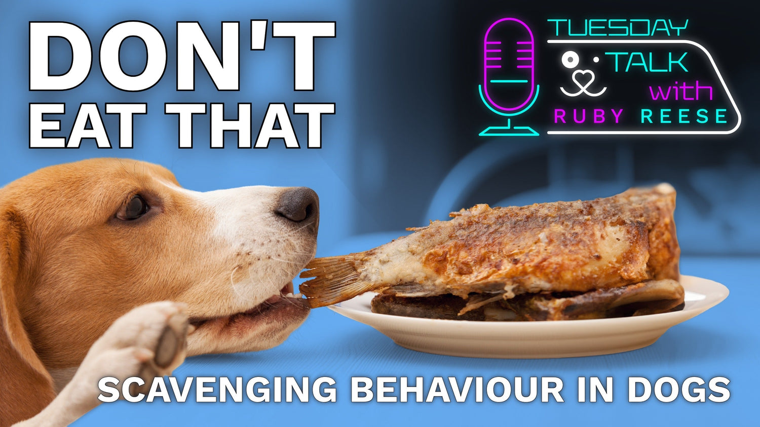 DON’T EAT THAT - Scavenging Behaviour in Dogs