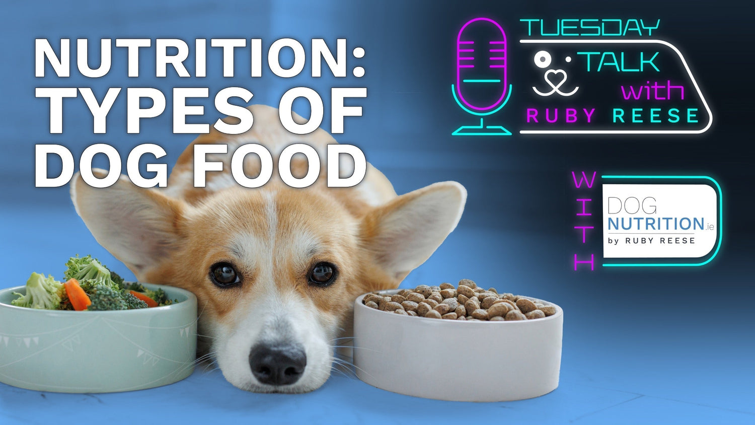 Nutrition: Types of dog food