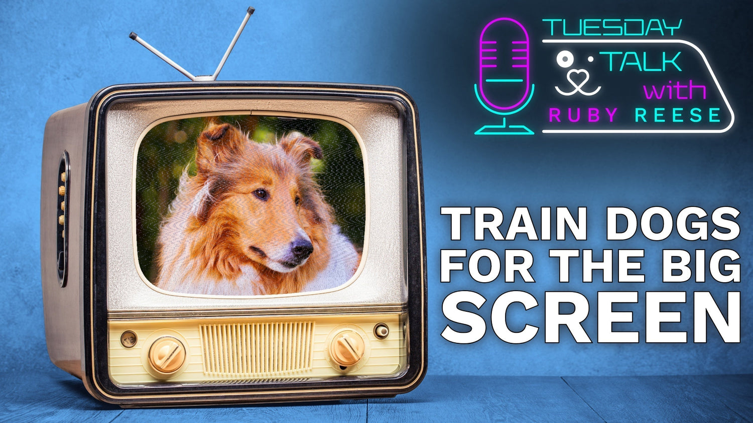 Train Dogs For The Big Screen