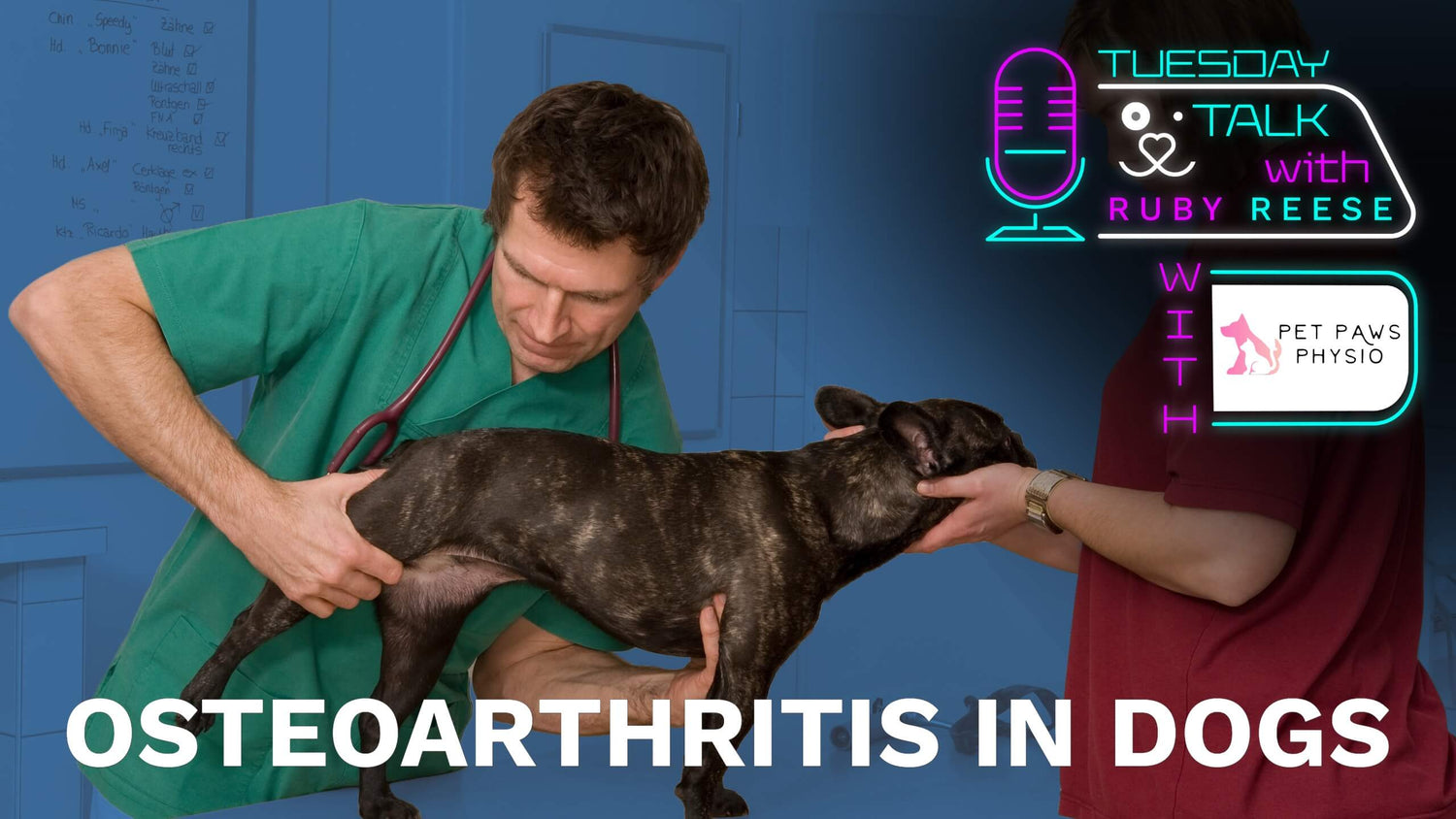 Osteoarthritis in Dogs