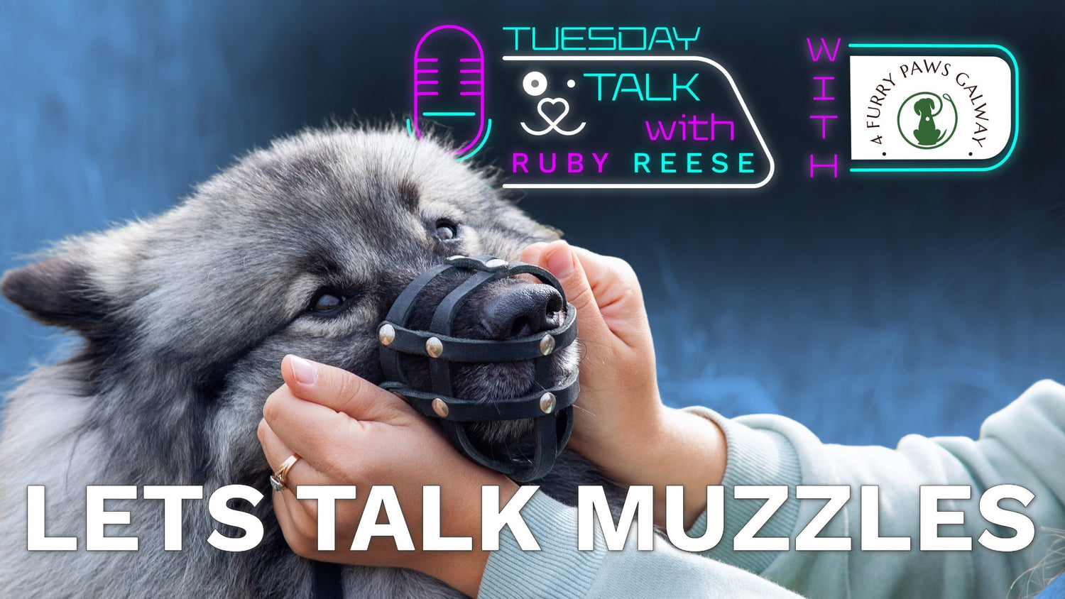 Lets Talk Muzzles