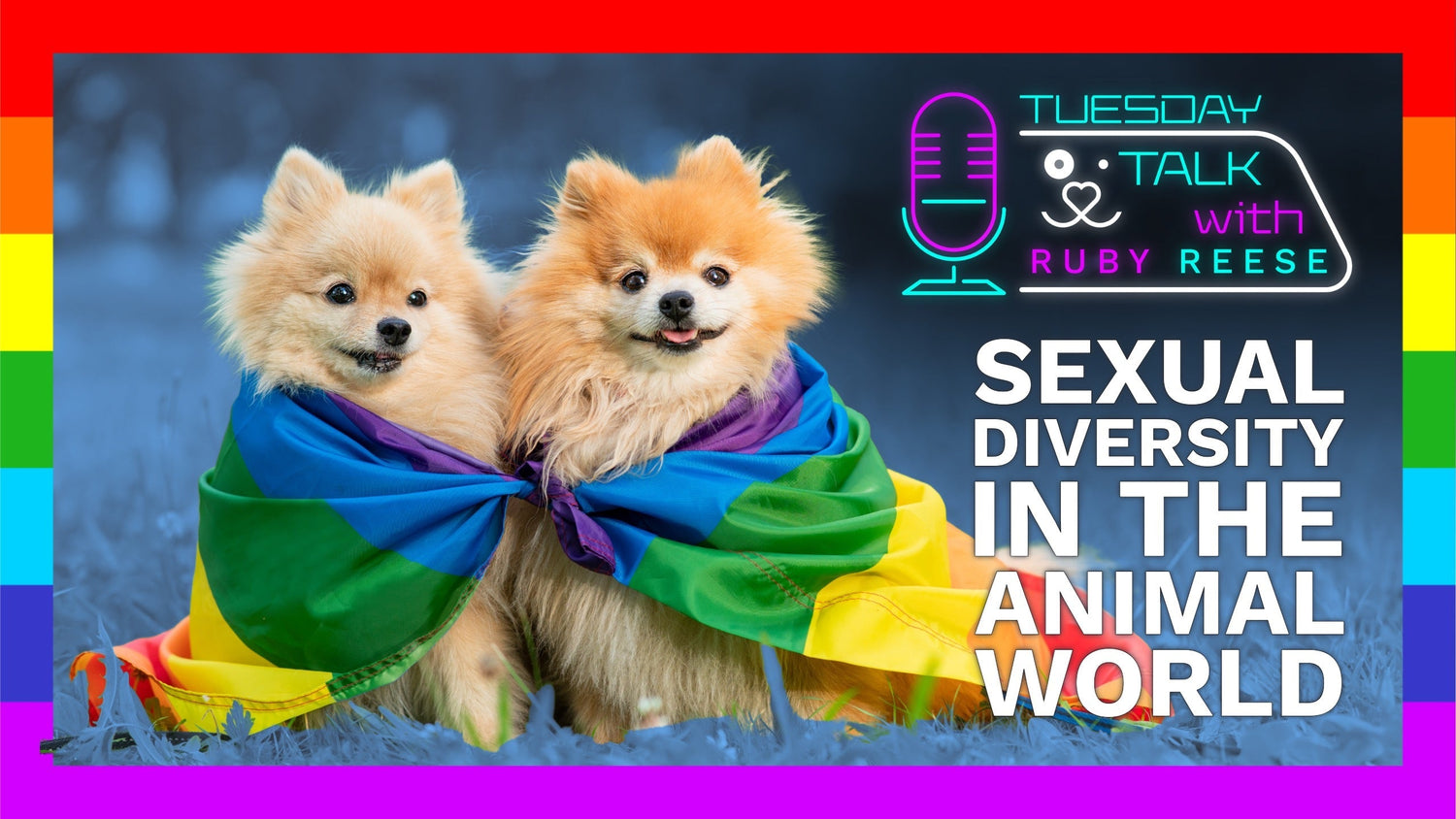 Sexual Diversity in the Animal World