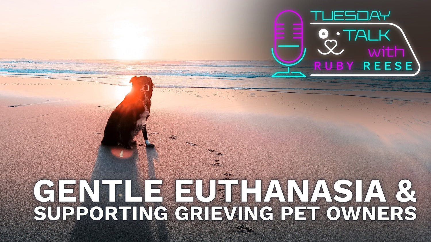 Gentle Euthanasia and Supporting Grieving Pet Owners