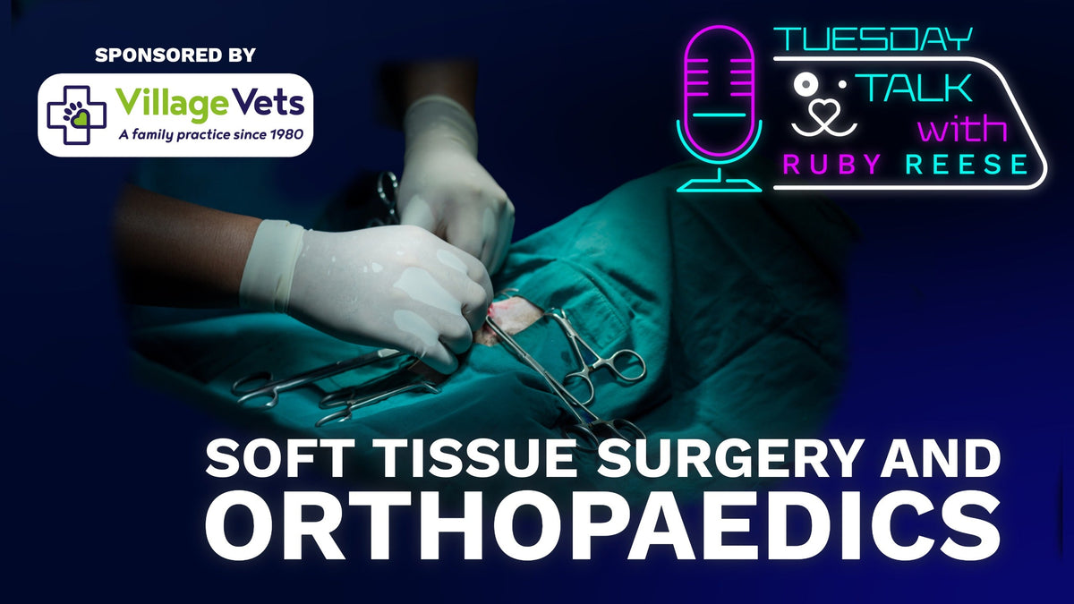 Soft Tissue Surgery and Orthopaedics in Dogs