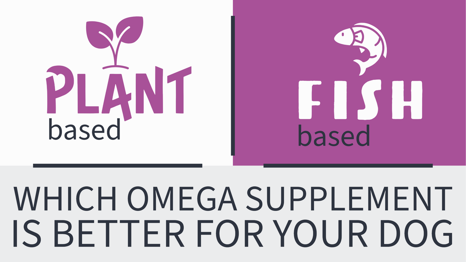 An icon for plant based and one for fish based and the text “Fish Oil vs. Plant Oil: Which is Best for Your Dog's Health?”