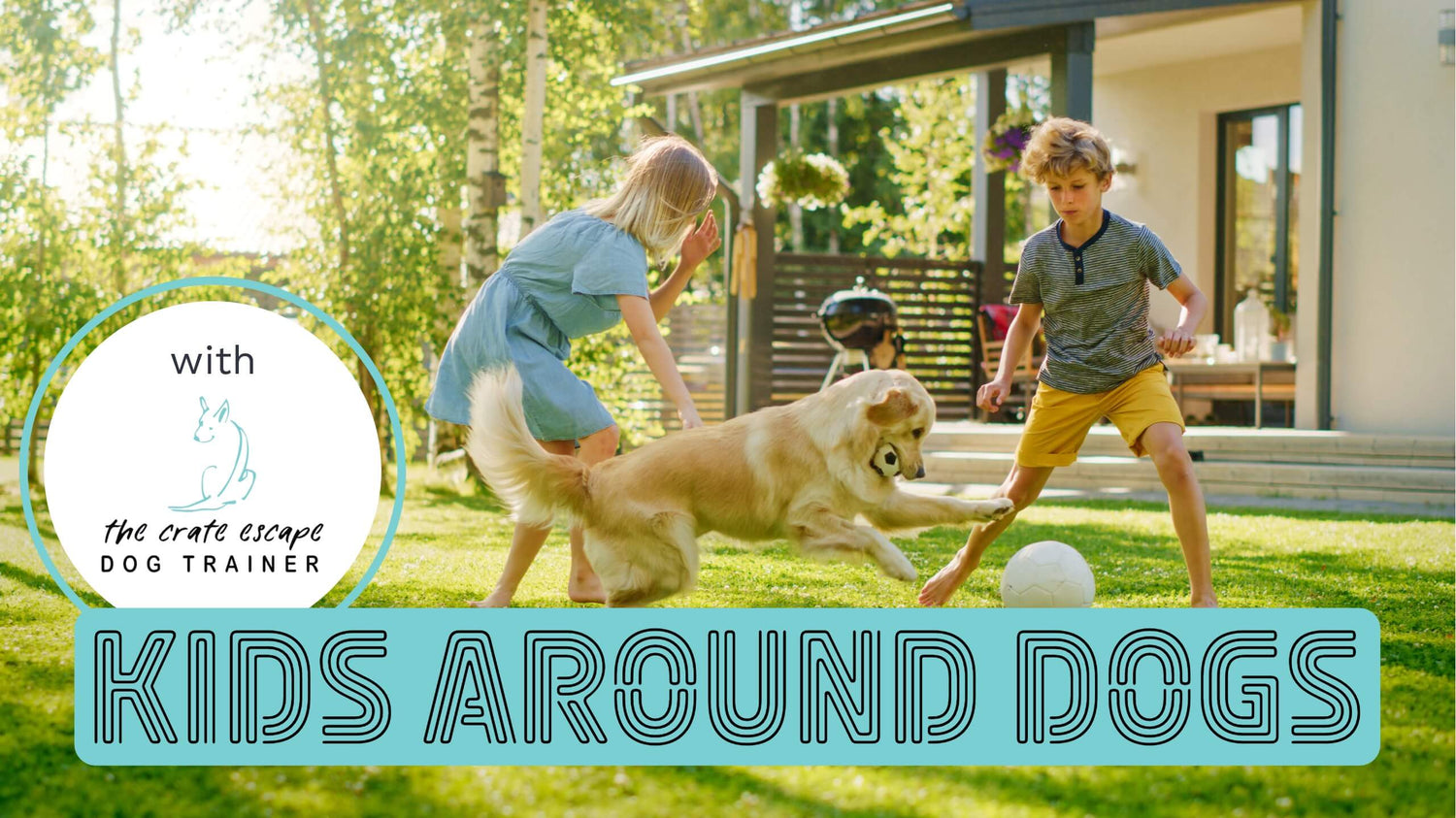 A boy and girl playing football with a dog in the garden on a sunny day and a box with text “Kids around dogs”