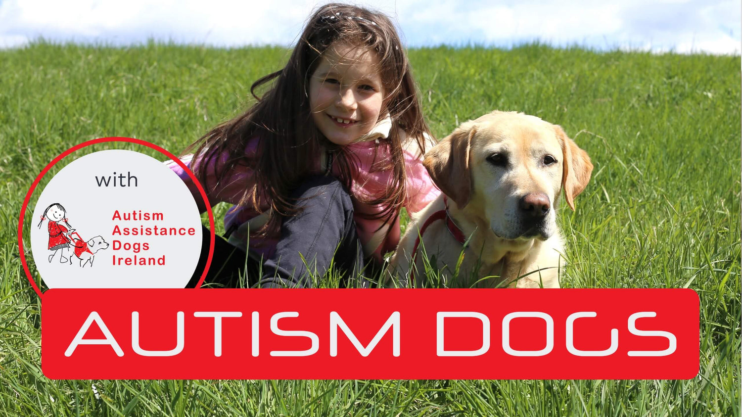 A girl sitting in high gras on a sunny day looking into the camera and a box with text “Autism Dogs”