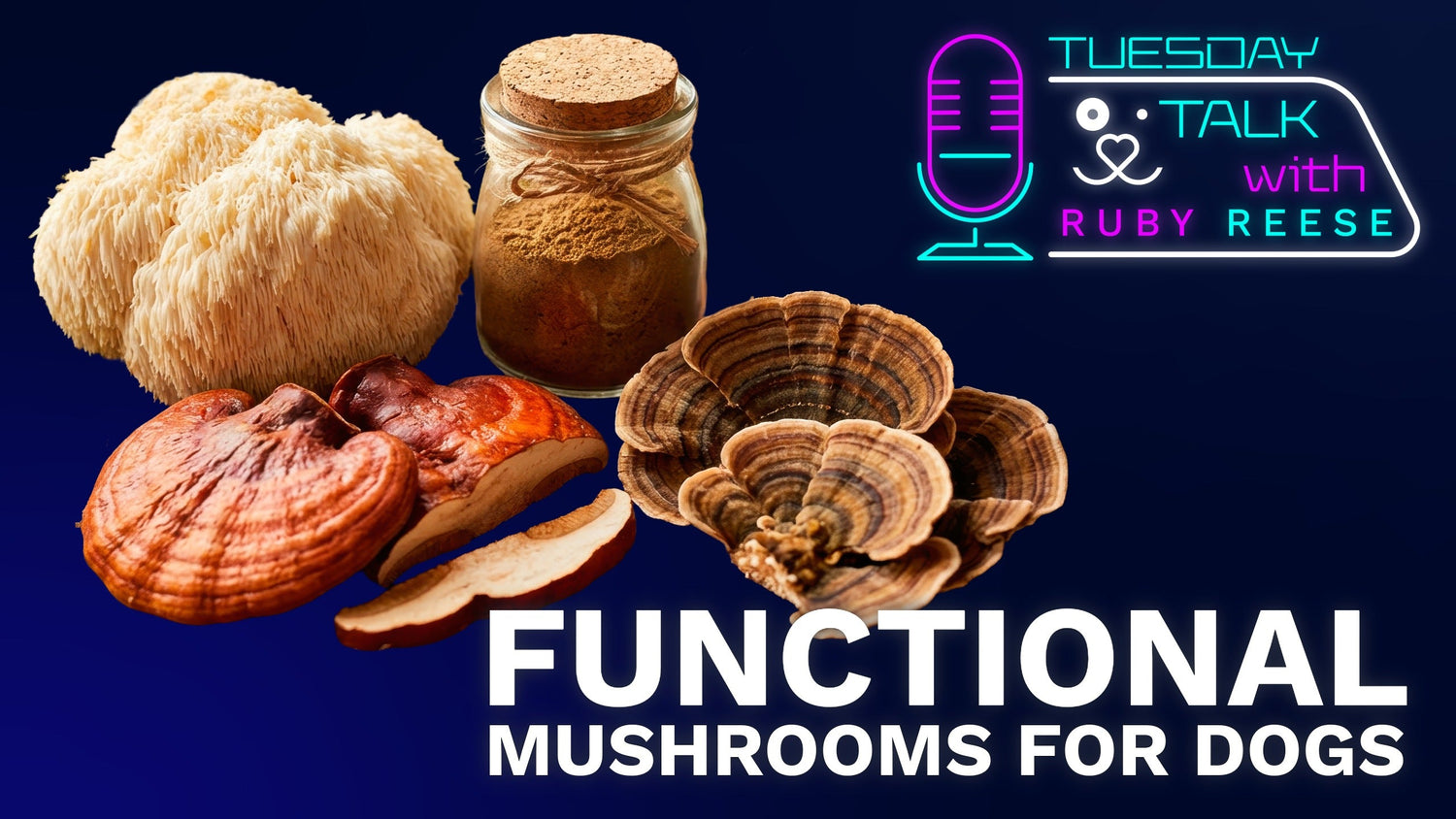 Functional Mushrooms for Dogs