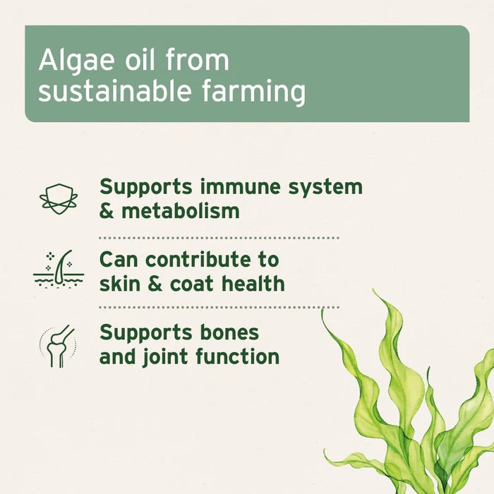 Algae Oil 50ml