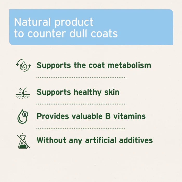 Brewer's Yeast Powder