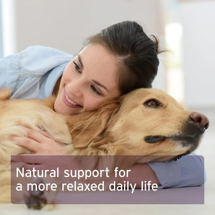 Calm & Relax Powder for Dogs
