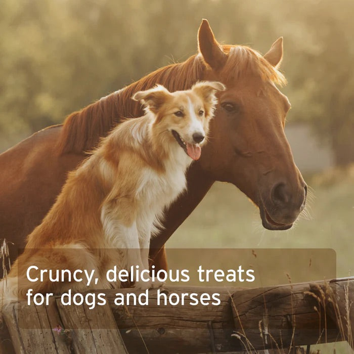 Organic Coconut Sticks