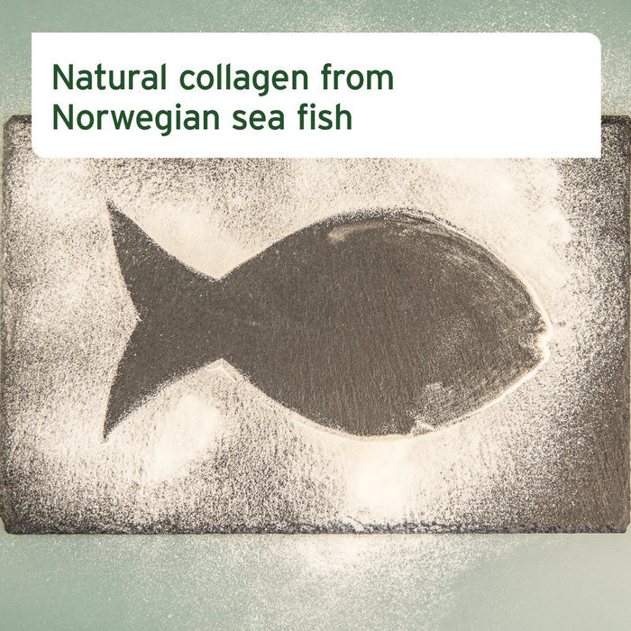 Norwegian cod fish collagen sustainably sourced