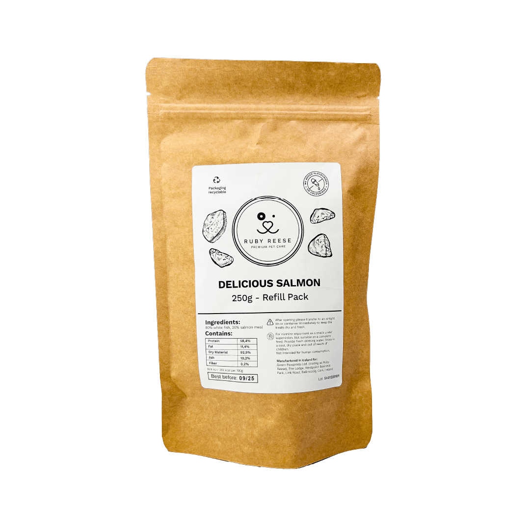 The RUBY REESE DELICIOUS SALMON refill pack is a pouch made from brown kraft paper with a white label attached to the front