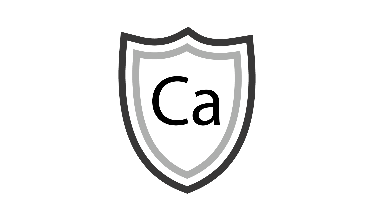 Icon of a shield with the letters