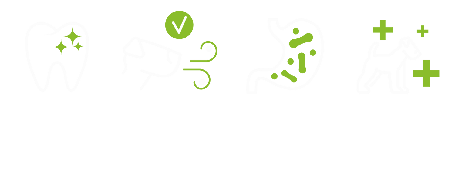 Four icons arranged horizontally. A tooth, a dogs face with breath, a dog stomach and a dog surrounded by plus signs