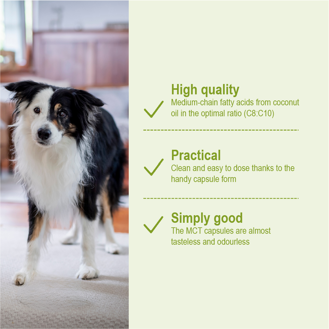 MCT Capsules for Dogs - Coconut Oil Brain & Energy Support, 90 Capsules