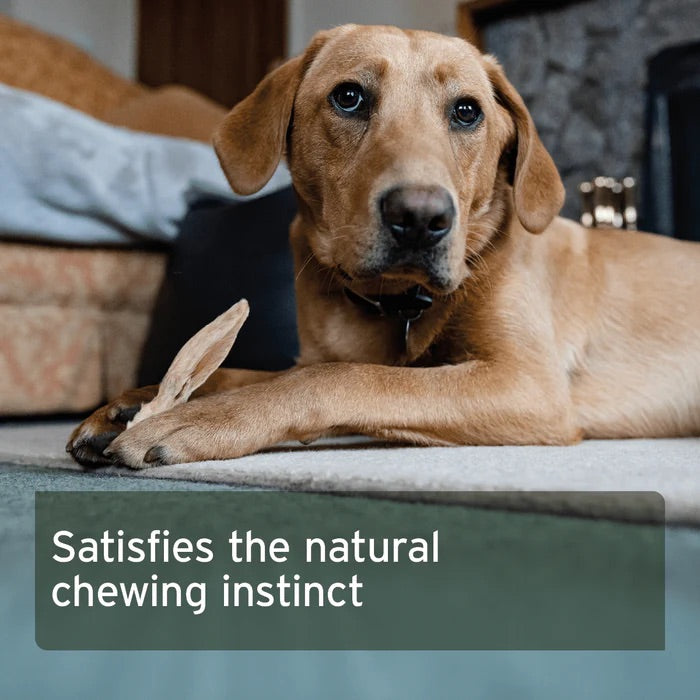 Rabbit Ears with Fur