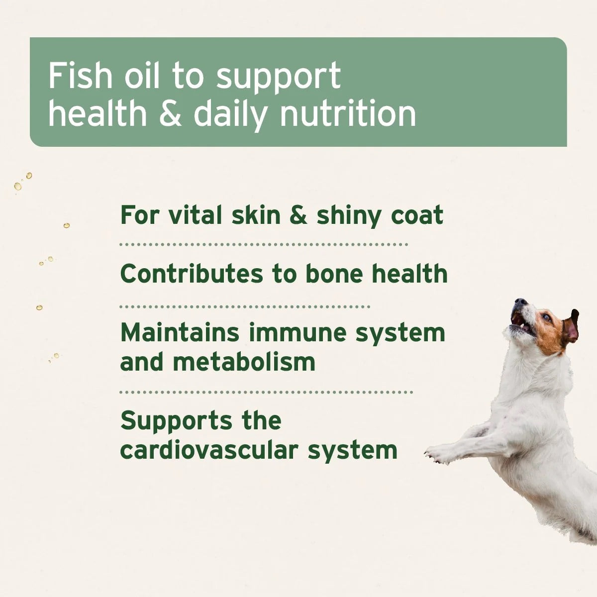 Salmon Oil for Dogs