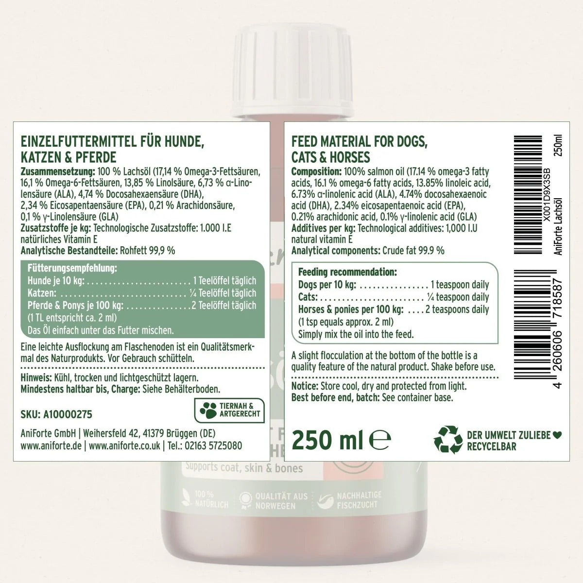 Salmon Oil for Dogs