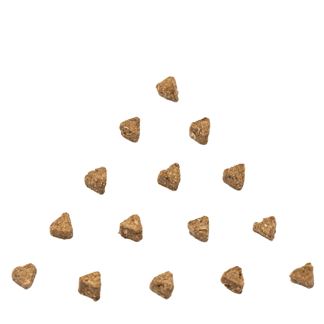 Triangular-shaped RUBY REESE TASTY SHRIMP natural dog treats arranged in a triangle-shape on a flat surface