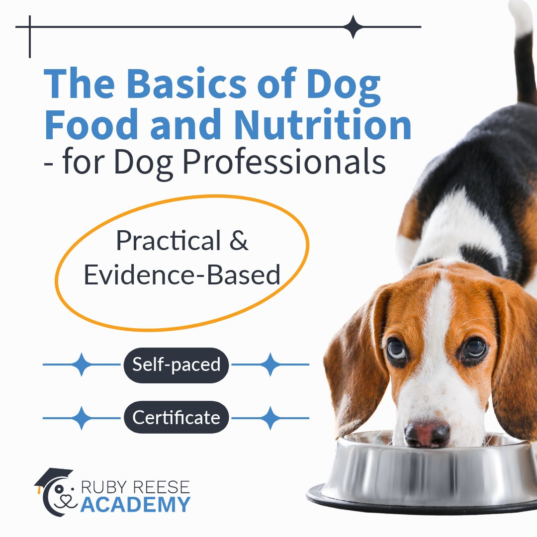 Dog food and nutrition course advertisement with a dog looking into a bowl, featuring text about practical and evidence-based education.