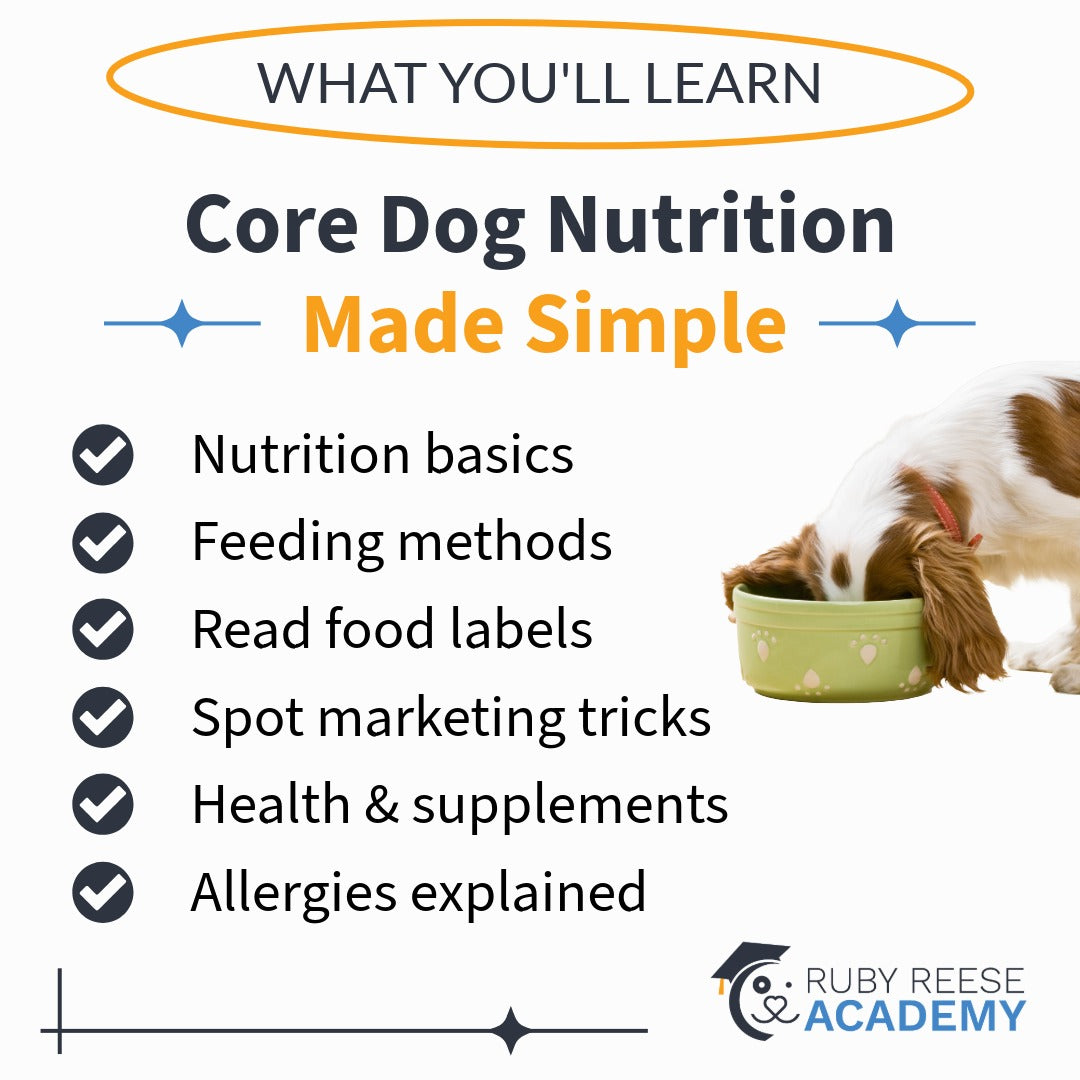 Dog nutrition educational graphic with a dog eating from a bowl, listing topics covered by Ruby Reese Academy.
