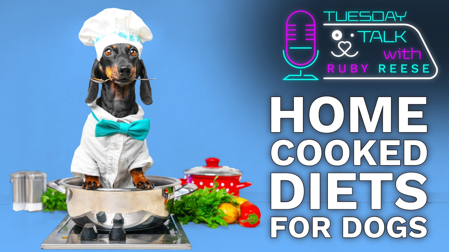 Home Cooked Diets for Dogs