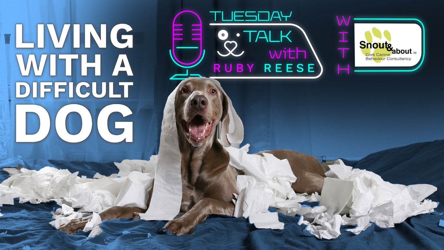 Living with a Difficult Dog