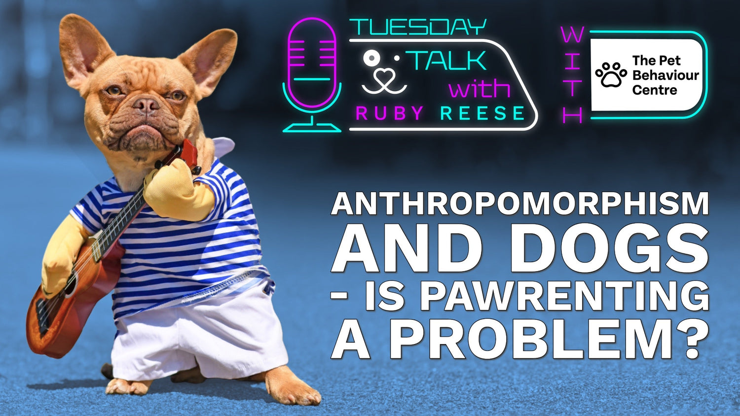 Anthropomorphism and Dogs - Is Pawrenting a Problem?