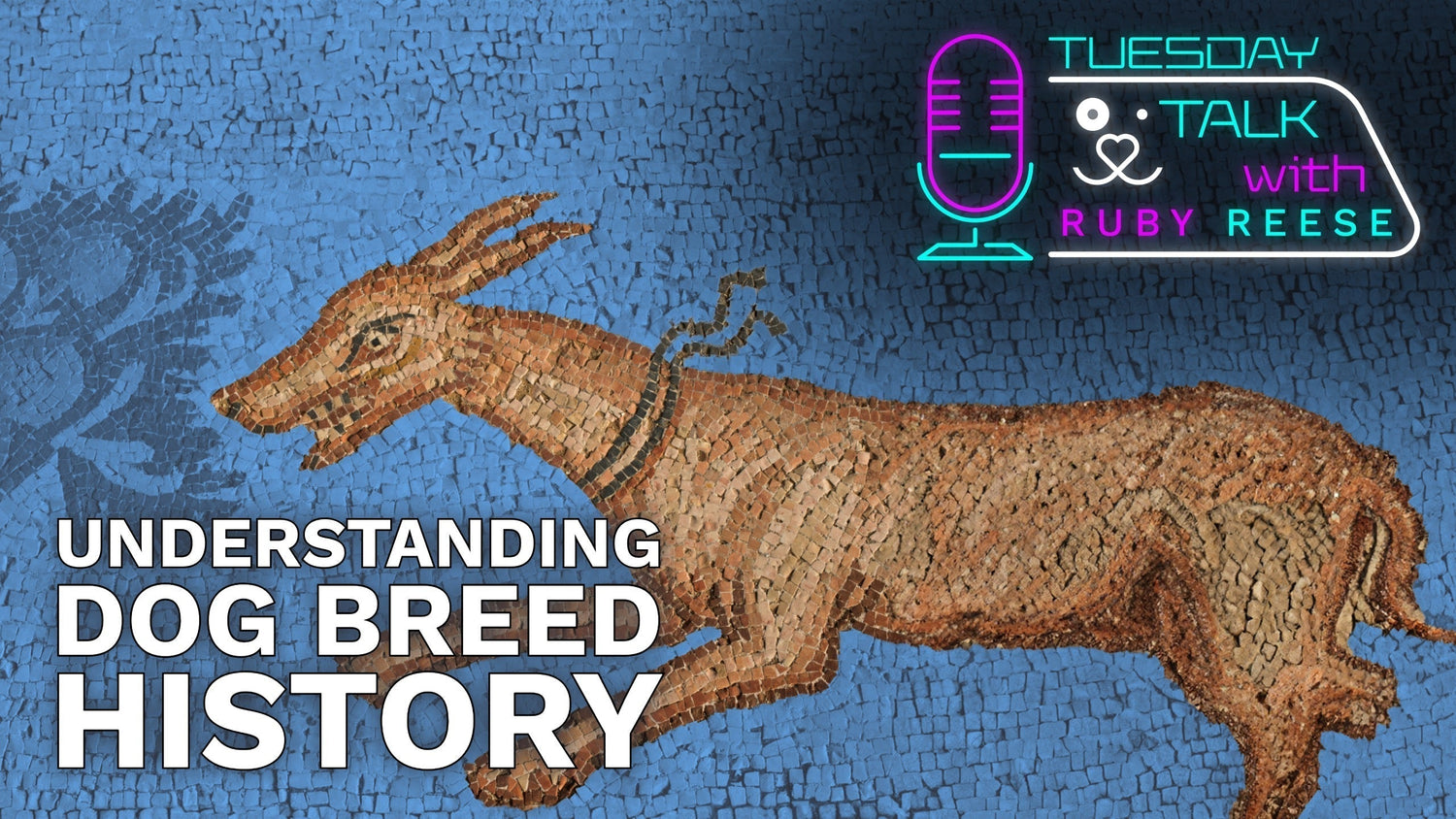 Understanding Dog Breed History