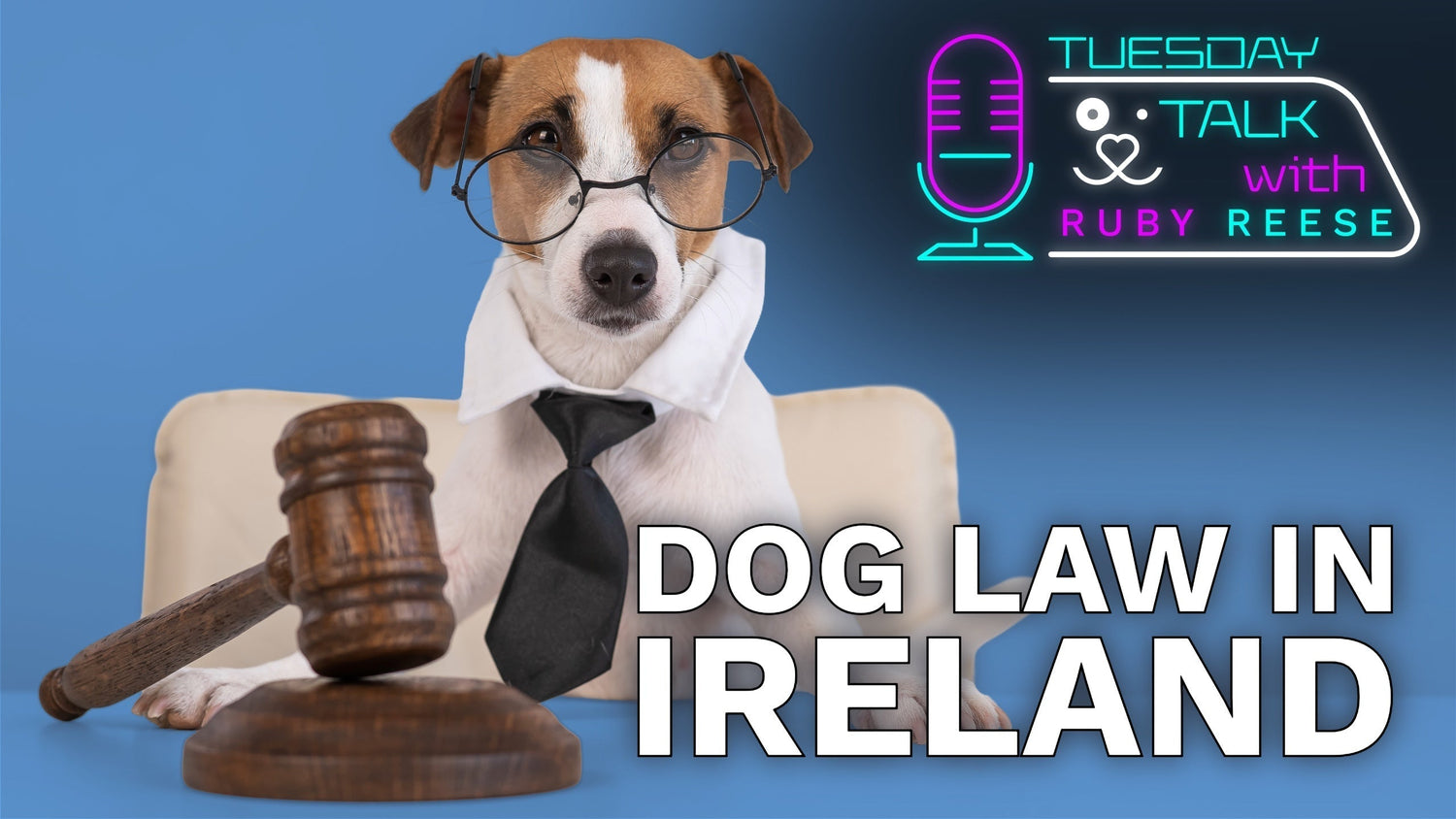 Dog Law in Ireland