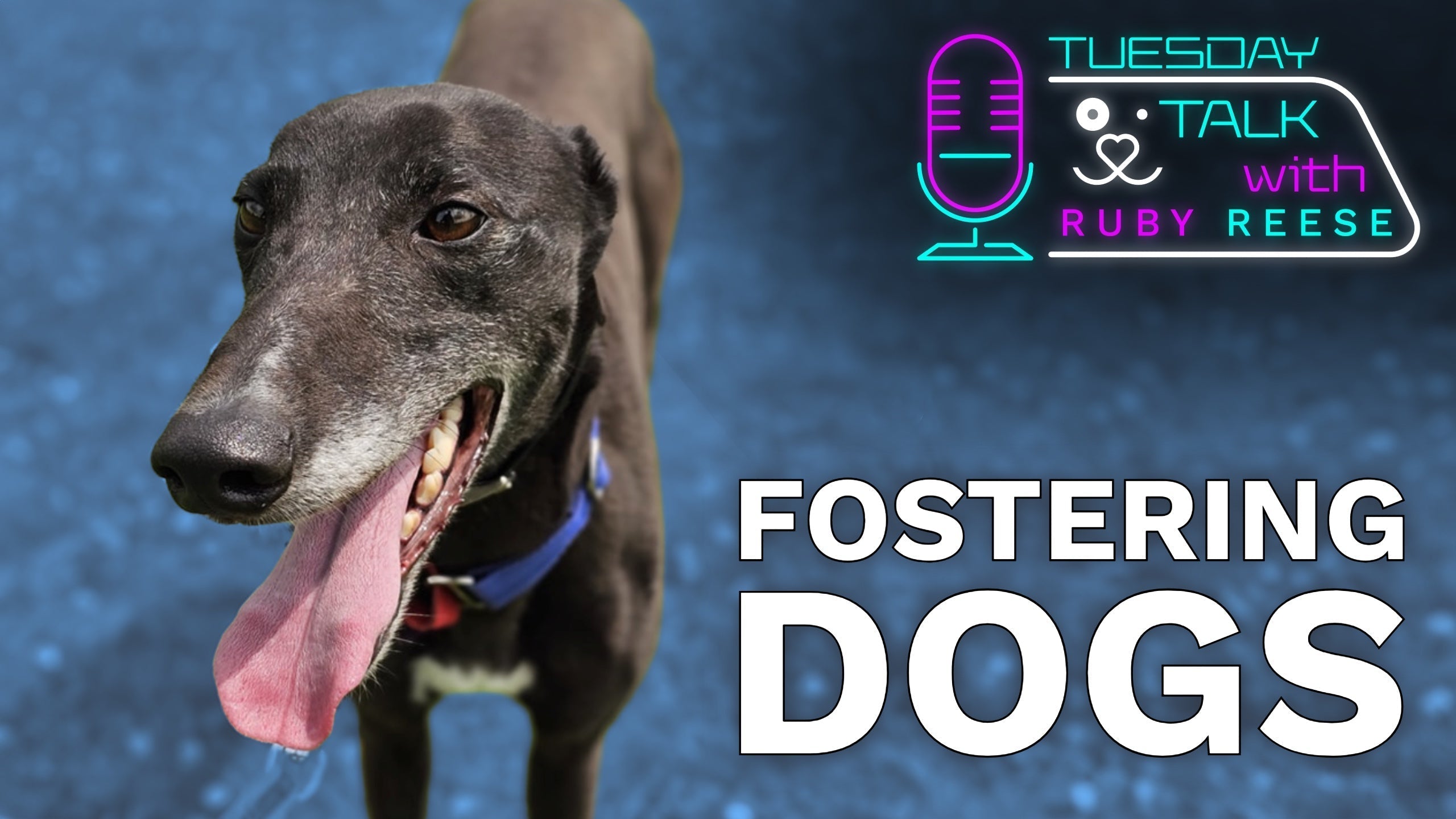 Fostering Dogs – Ruby Reese