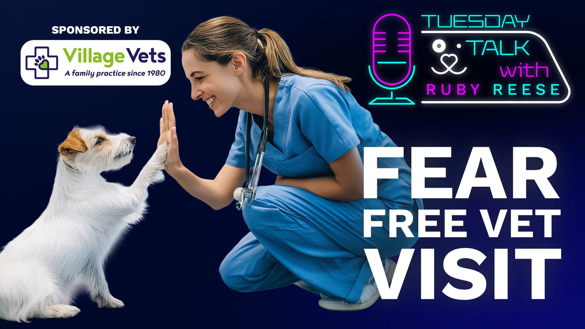 Fear Free Vet Visits