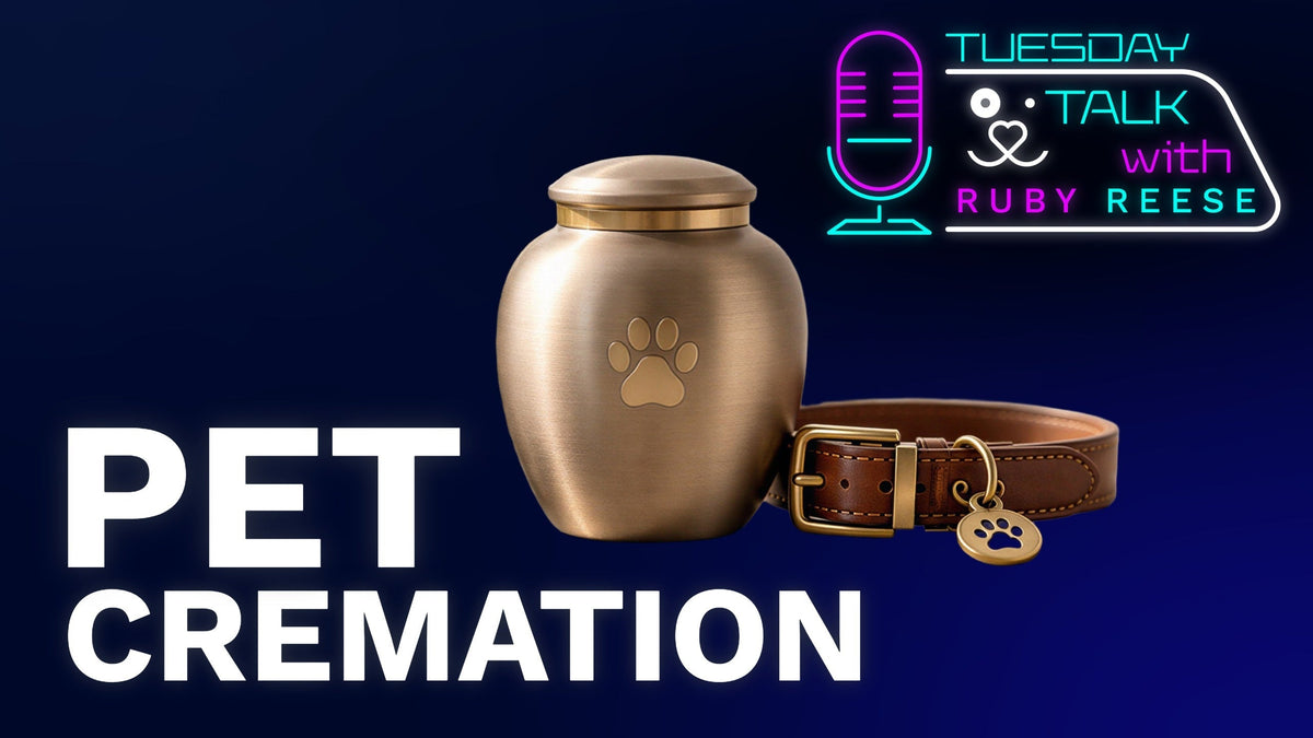 Pet Cremation