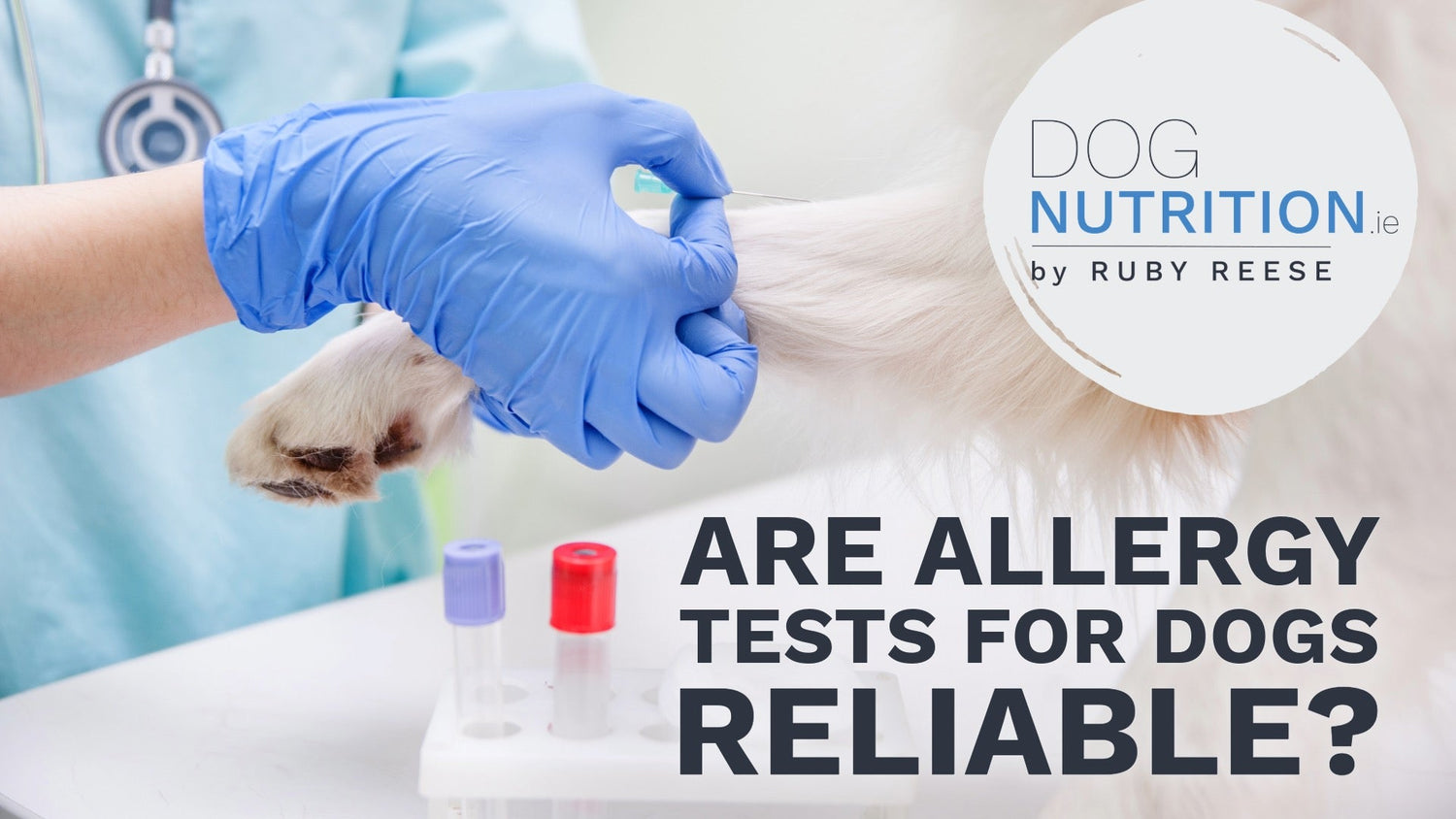 Are allergy tests for dogs reliable?