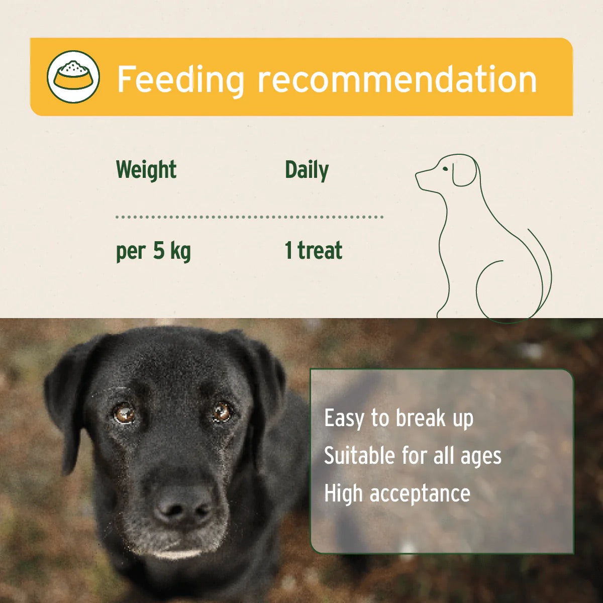 Dog Anti Grass and Poop Eating Snack