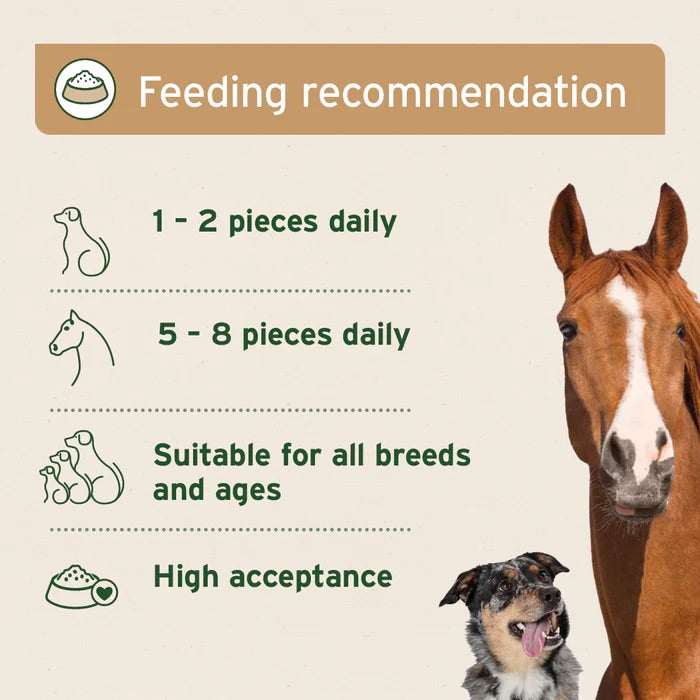 Organic Coconut Sticks