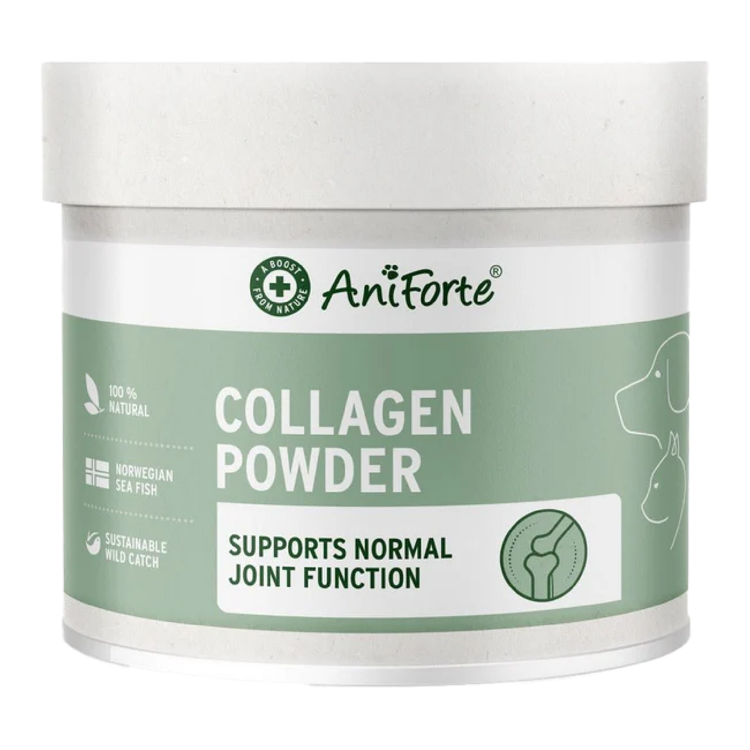 Collagen Powder