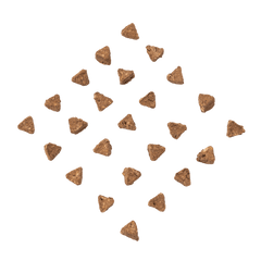 Triangular-shaped RUBY REESE DELICIOUS SALMON natural dog treats arranged in a diamond-shape on a flat surface