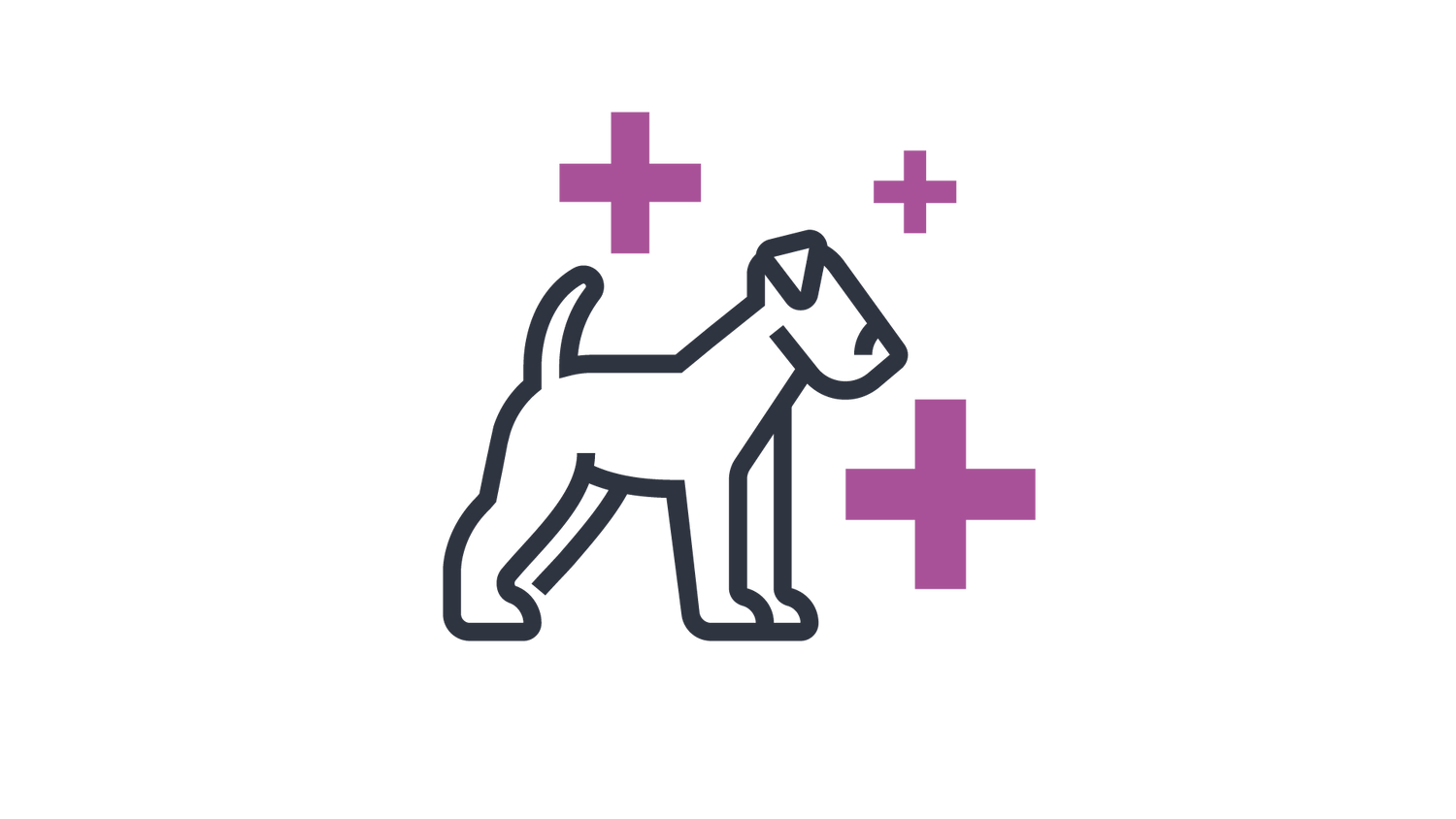 Icon a dog surrounded by three plus signs of varying sizes
