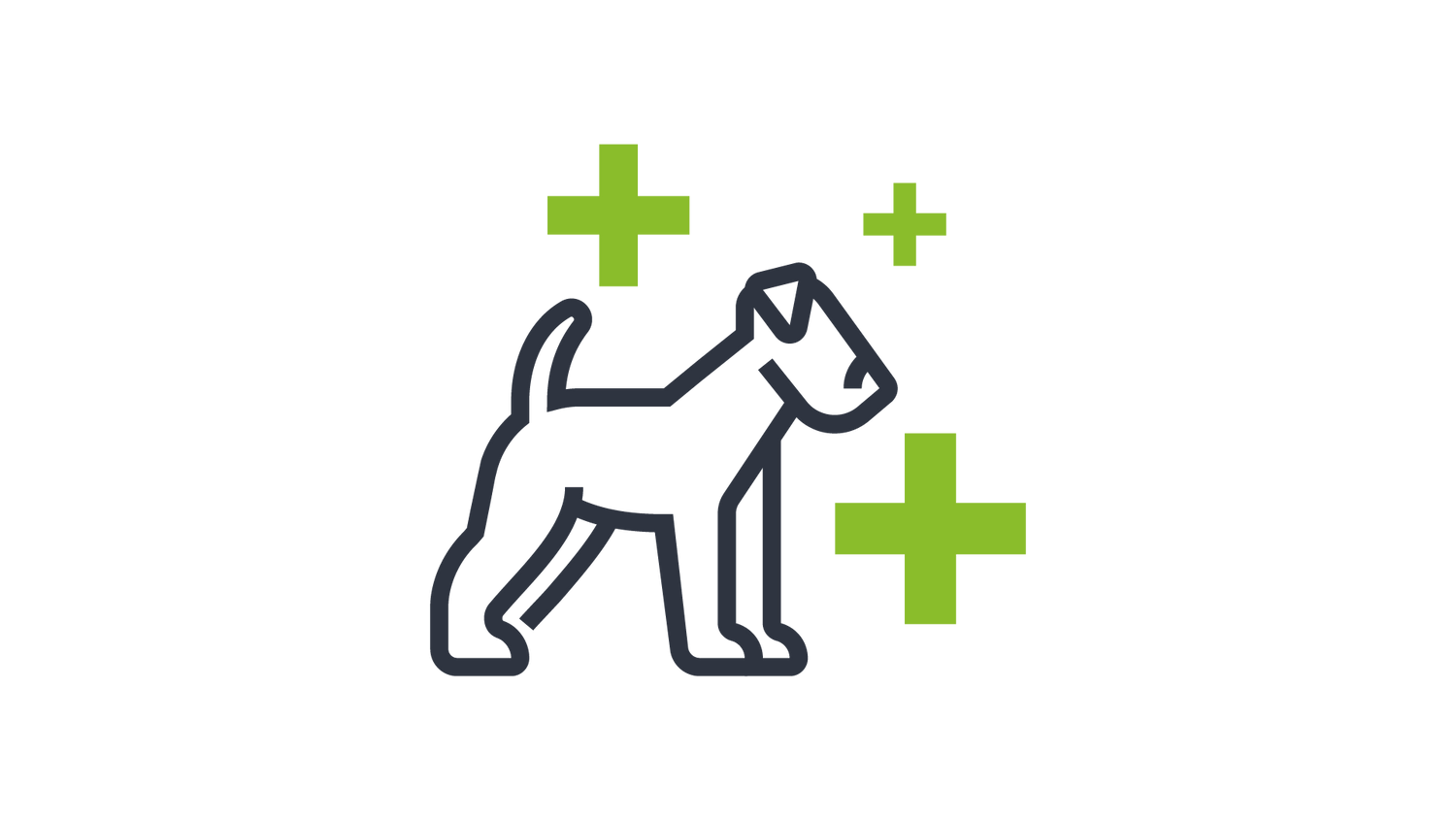 Icon a dog surrounded by three plus signs of varying sizes