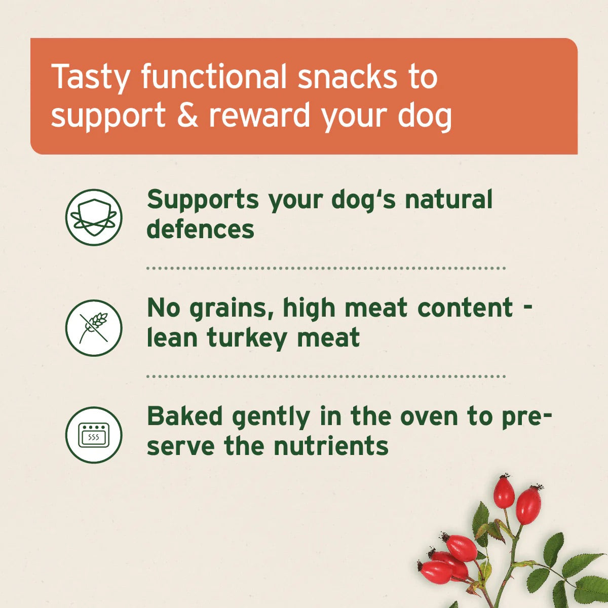 Dog Immunity Snack