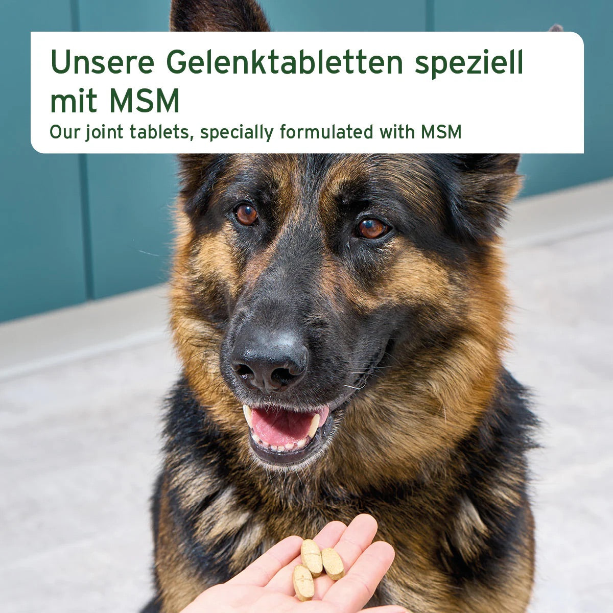 Joint Tabs with MSM