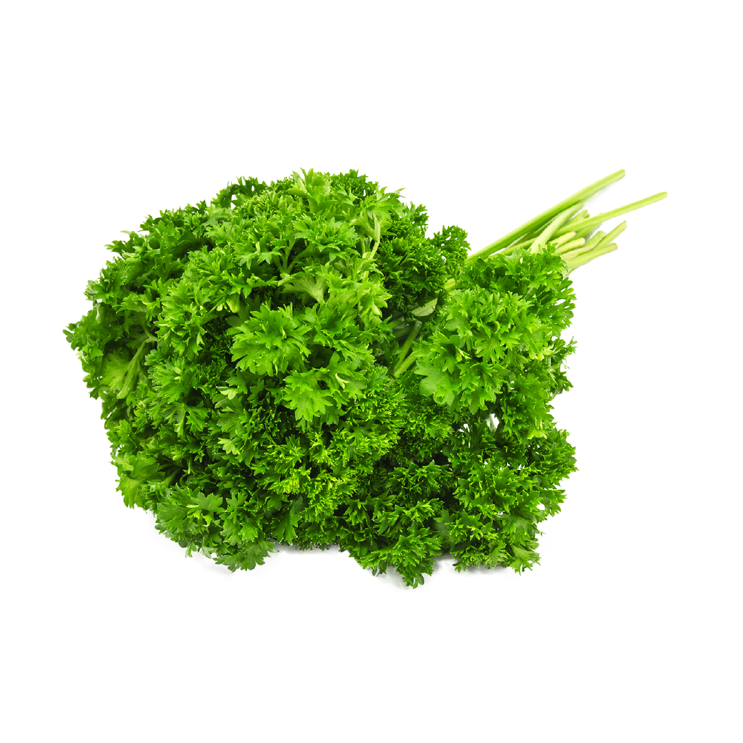 A bunch of curly parsley