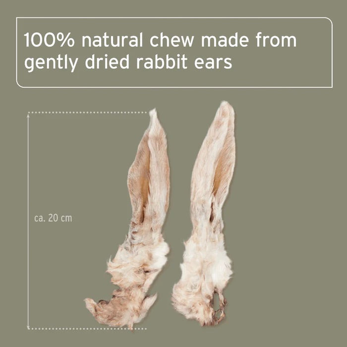 Rabbit Ears with Fur