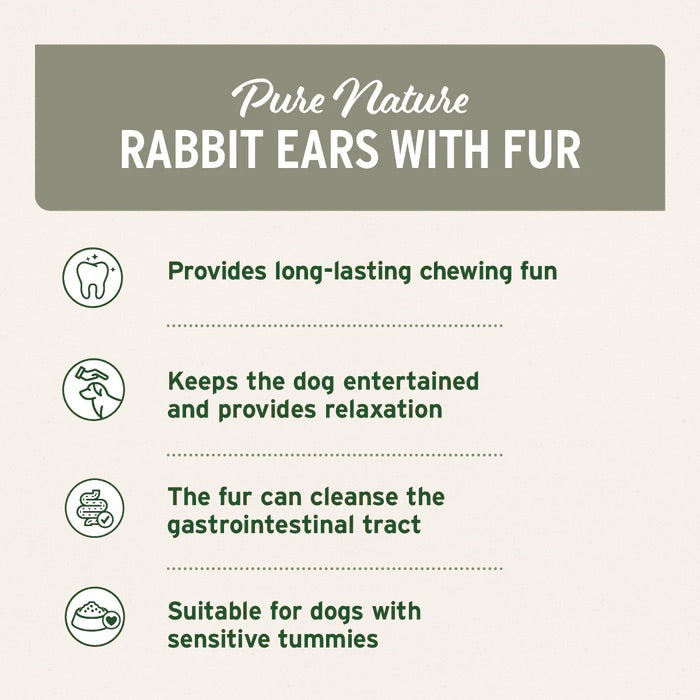 Rabbit Ears with Fur