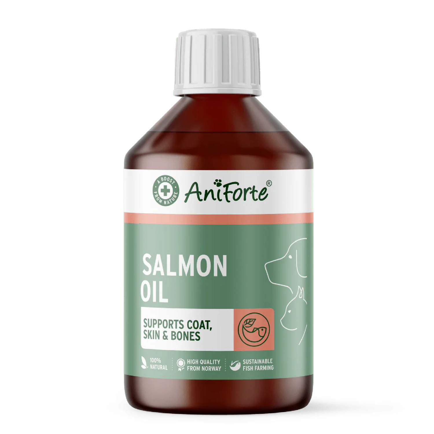 Salmon Oil for Dogs